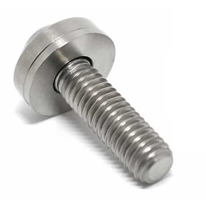 TLC Profile/Madera Titanium BMX Hub Screw (10mm|Natural) TLC Profile/Madera Titanium BMX Hub Screw (10mm|Natural)
