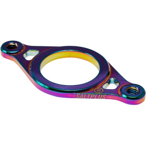 Salt Plus Geo Gyro Plate (Oilslick) Salt Plus Geo Gyro Plate (Oilslick)