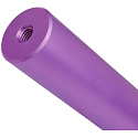 Striker Lux SCS/HIC Fork Purple