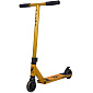 Freestyle Scooter Panda Cub Gold Painted