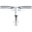 Handlebars Ethic Dryade V2 620mm Raw