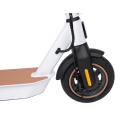 Electric scooter City Boss RS500 white