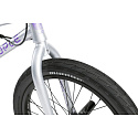 Wethepeople Versus 20" Freestyle BMX Bike (20.65"|Hologram Silver)