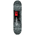 Toy Machine Team Skate Deska (8.25"|Tunnel)