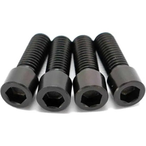 TLC Primo Titanium BMX Crank Arm Pinch Bolts (Black) TLC Primo Titanium BMX Crank Arm Pinch Bolts (Black)