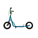 Scooter Street Surfing RB1 Lizard