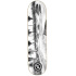 Hydroponic Spot Series Skate Board (8.5"|La Mar Bella)